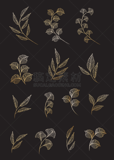 叶子,草本,黄金,天气,可爱的,假叶树属,背景分离,环境保护,枝繁叶茂,植物