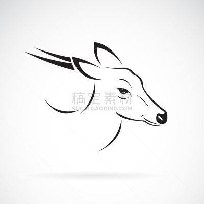 毛冠鹿,白色,野生动物,哺乳纲,自然美,动物,品牌名称,吠声,复古