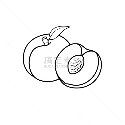 白色背景,矢量,黑白图片,杏,绘画插图,彩色书,分离着色,儿童,背景分离,泰国