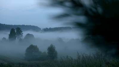 夏末日出时田野中的雾景观