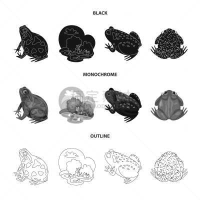 野生动物,藓沼,计算机图标,生物学,有毒物质,灰色,青蛙,草,收集,设计