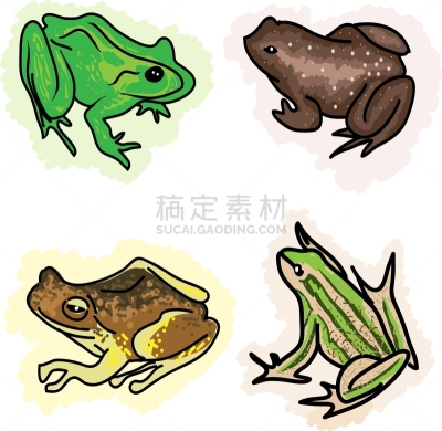 蛙,四只动物,与众不同,鸡尾酒,红色,脊索动物类,热带雨林,野生动物,图像,捕食