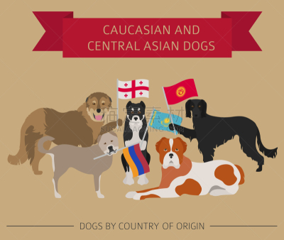 白色人种,非都市风光,狗,中环,哈萨克人,图像,矢量,亚洲,亚美尼亚,吉尔吉斯斯坦