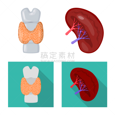 生物学,数学符号,背的，脊的,分离着色,健康保健,人,图表,设计,生病,收集