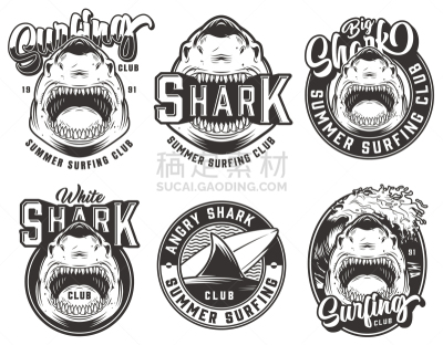 vintage summer surfing club labels set