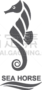 海马,分离着色,生物学,自然,海产,海洋,船,动物,装饰