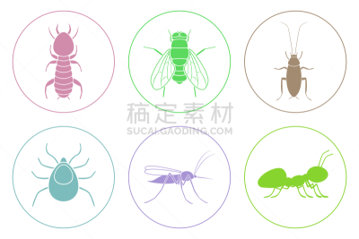 蜱,蚂蚁,蚊子,白蚁,两翼昆虫,计算机图标,蟑螂,矢量,恙螨,吸血动物