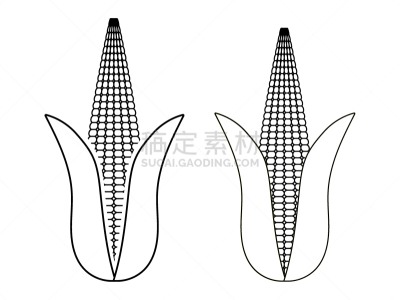 计算机图标,外壳,甜玉米,玉米,透明,背景,线条画,农业,乙醇,生物燃料