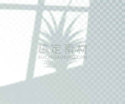 阴影,绘画插图,多层效果,矢量,棕榈树,自然,分离着色,商务,贺卡,空的