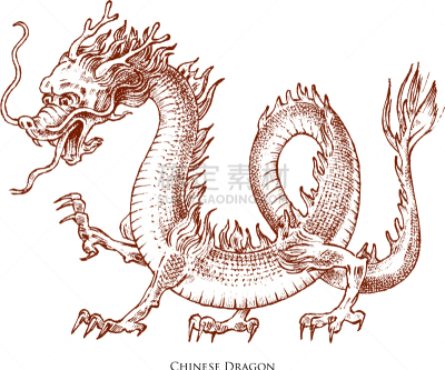 动物,亚洲,华丽的,传统,艺术品,爬行纲,剪影