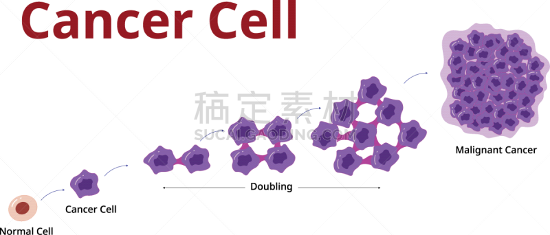 细胞,舞台,膜,人,基础的，基本的,发展,转移,生病