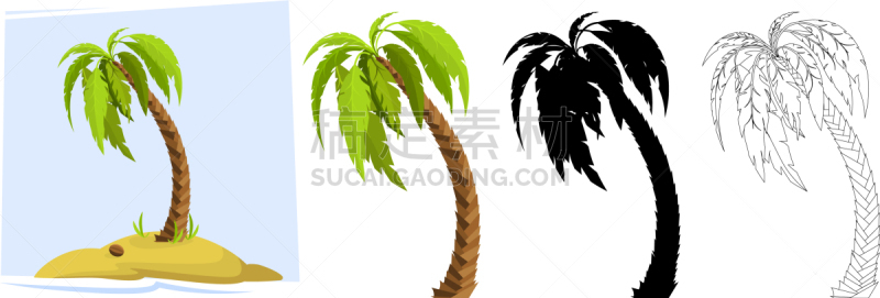 鸡尾酒,棕榈树,椰子岛,复叶,简单背景,泰国,植物群,公园,埃及
