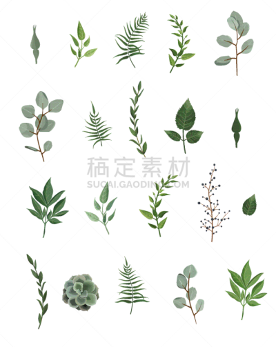 设计师,绿色,天气,季节,式样,可爱的,华丽的,收集,布置,复古