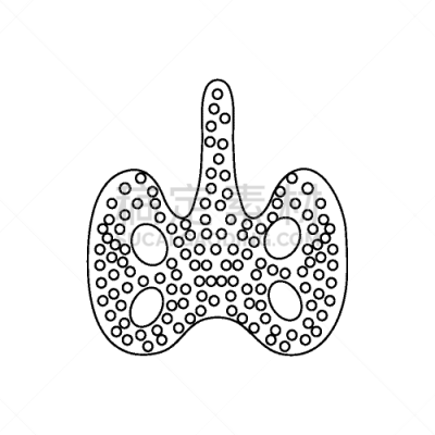 轮廓,甲状腺,计算机图标,时尚,分离着色,白色,生物学,人,图像,阴谋