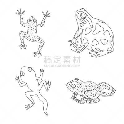 动物,两栖纲,标志,式样,舞台,生物学,有毒物质,野生动物,牛蛙,人类腺体