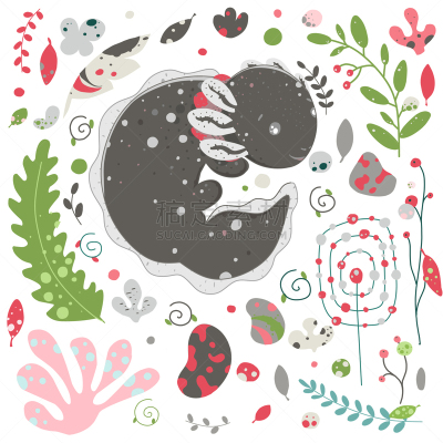 可爱的,Axolotl,可爱,绘画插图,植物群,蜥蜴,小的,动物,两栖纲,爱