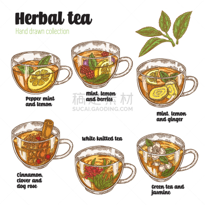 配方,多样,绿茶,茶,饮料,热,菜单,清新,绘制