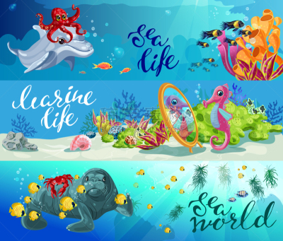 水平画幅,海洋生命,色彩鲜艳,卡通,自然,图像,海洋,海豚,动物,矢量
