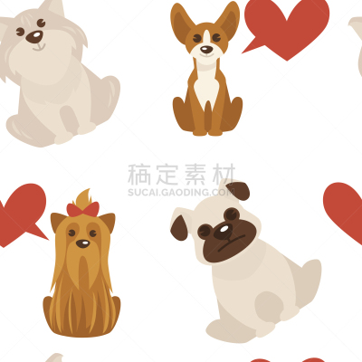狗,动物,犬科的,纯种犬,梗犬,肖像,哺乳纲,打字,坐,爱