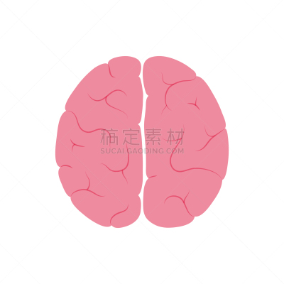人脑,生理学,生物学,商务,人,半球体,概念,思考,设计