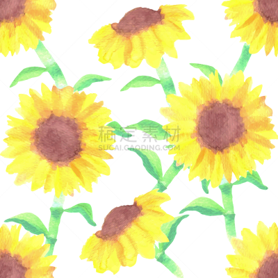 sunflowers or helianthus flowers a symbol of