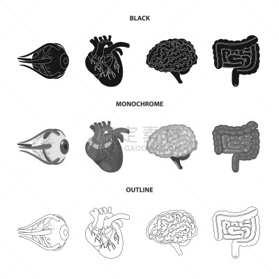 生物学,科学,标志,健康保健,视力,角膜,植物群,主动脉,设计,思考