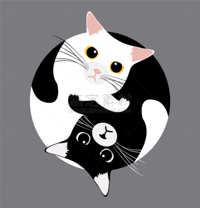 阴阳符,猫,白色,亚洲,矢量,行星,标志,智慧,睡觉