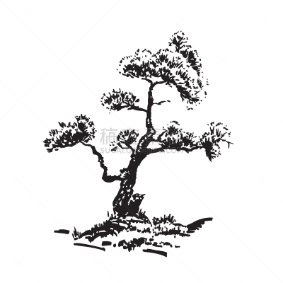 动物手,松树,黑白图片,分离着色,白色,自然,图像,绘制,树,写实