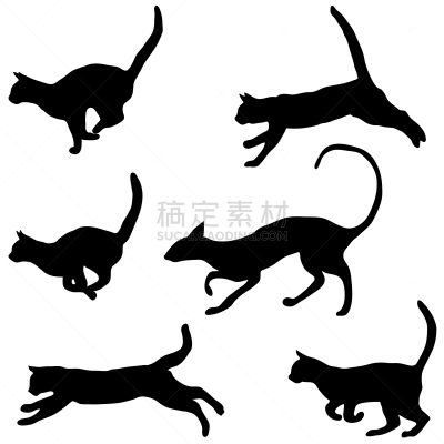 猫,宠物,图像,动物,矢量,阴影,草图,黑色,收集,剪影