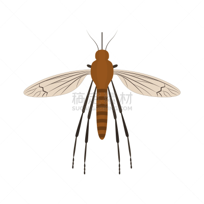 蚊子,昆虫,彩色图片,动画片,白色,生物学,驱虫剂,吸血动物,翅膀,沟通