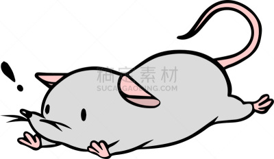 矢量,鼠,绘画插图,动物研究,科学实验,十二生肖,哺乳纲,动物,实验大白鼠,问号