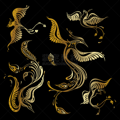 自然美,孔雀,孔雀羽毛,华丽的,摆拍,华贵,野生动物,布置,问候