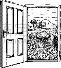 自然美,创造力,门,关闭的,地形,白色,黑色,概念,画画