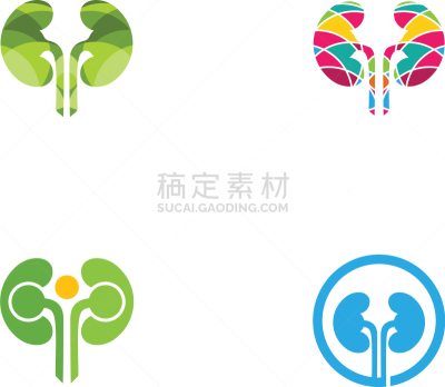 肾脏,生物学,健康保健,部分,家庭,门诊部,模板,品牌名称