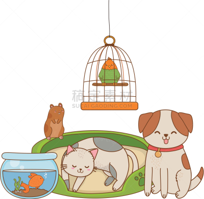 可爱的,宠物,幽默,卡通,纯种犬,肖像,狗,床,哺乳纲,爱