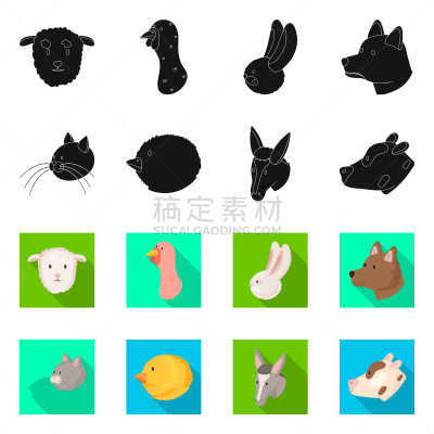 农业,图标,可爱的,食品,加拿大,猪,骡子,牛,设计