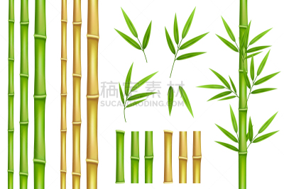 清新,植物,自然,垂直画幅,竹,叶子,绿色,分离着色,茎,装饰