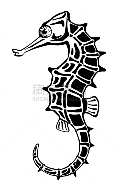 摆拍,海马,墨水,绘画插图,野生动物,动物,装饰物,洋葱花,着色