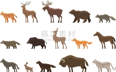 山猫,符号,接力赛,图标集,动物主题,自然,动物园,雪豹,野生动物,图像