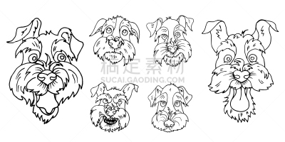 狗,纯种犬,苏格兰粗毛猎狐犬,拟人,白色,黑色,可爱的,小的,性格,收集