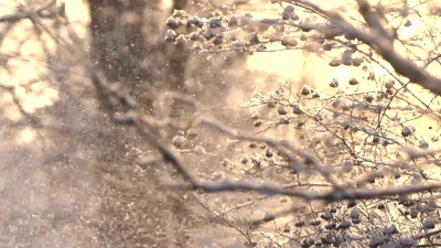慢动作下雪