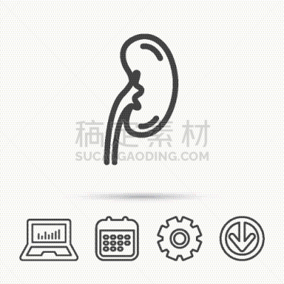 肾脏,标志,计算机图标,泌尿系统,人,部分,直的,生病,失败