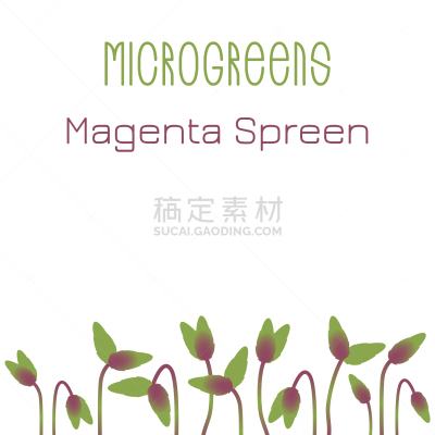 microgreens magenta spreen seed packaging design