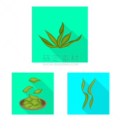 海洋,品牌名称,豆腐,绿色,营养品,维生素,自然,布置,收集,瘦身