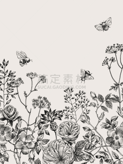 花朵,枝,野花,背景,直的,婚礼,自然美,调味品,春天,复古