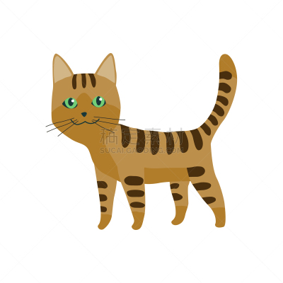 可爱的,绘画插图,卡通,猫,矢量,毛皮,曼彻堪猫,背景分离,多样,环境