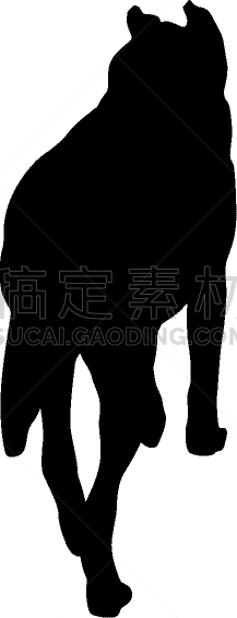 白色背景,牧羊犬,纯种犬,雪,狗,哺乳纲,动物,吠声,剪影,训练