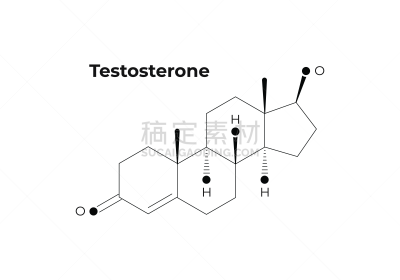 矢量,极简构图,睾丸激素,荷尔蒙,分离着色,进攻,教育,设计