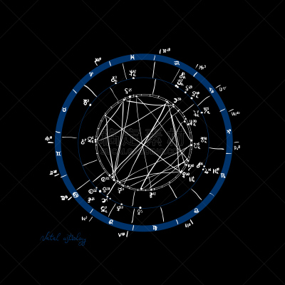 矢量,星图,图表,动物手,白色,黑色,汉字,算命,算命,绘制