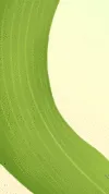 端午节视频转场竖版封面